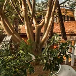 Bay - Adults Only 5* مرمريس