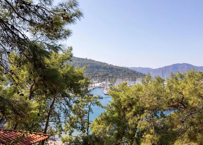 ホテル Bay - Adults Only マルマリス