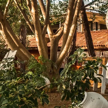 Bay - Adults Only 5* Marmaris